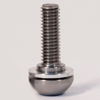 Profile Mini Hub Button Head Bolt 14mm Titanium (each)