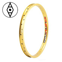 ALIENATION 440 Rim 20" 36H (Gold)