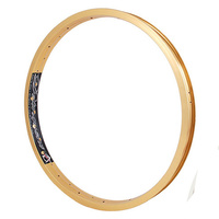 ALIENATION Delinquent Rim 20" 36H (Ano Gold)