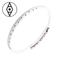 ALIENATION Deviant Rim 24" 36H (White) (Front Only)