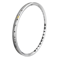 ALIENATION Mischief G69 Rim 24" 36H (Polished) (Non-Brake) TCS2.0