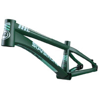 Staystrong V4 'For Life' Frame *Disc Only* (Pro - Green)