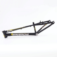 Staystrong V4 Frame Mini (Gloss Black) *V-Brake*