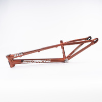 Staystrong V4 Frame Expert (Copper) *V-Brake*