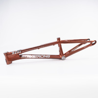 Staystrong V4 Frame Pro Cruiser (Copper) Disc Only