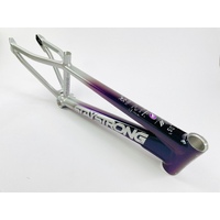 Staystrong Mini Frame V5 Disc (Chameleon-Silver)