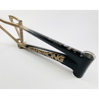 Staystrong Expert Frame V5 Disc (Black-Tan)