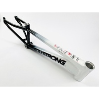 Staystrong Expert Frame V5 Disc (White-Black)