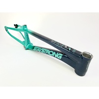 Staystrong Pro-XL Frame V5 Disc (Charcoal-Mint)