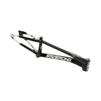 Staystrong Pro-XXL Frame V5.1 Disc (Black-White)