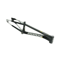 Staystrong Pro-XXL Frame V5.1 Disc (Charcoal-Silver)