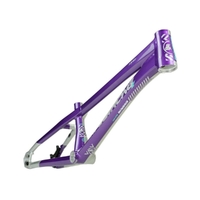 Staystrong Pro-XXXL Frame V5.1 Disc (Purple-Silver)