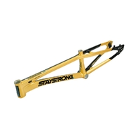 Staystrong Pro-XXXXL Frame V5.1 Disc (Black-Gold)