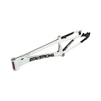 Staystrong Pro Cruiser Frame V5.1 Disc (Black-White)