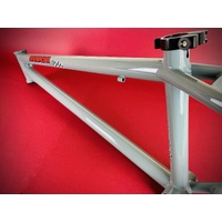 Staystrong Speed & Style Cro-Mo Frame Pro-Cruiser (Grey)